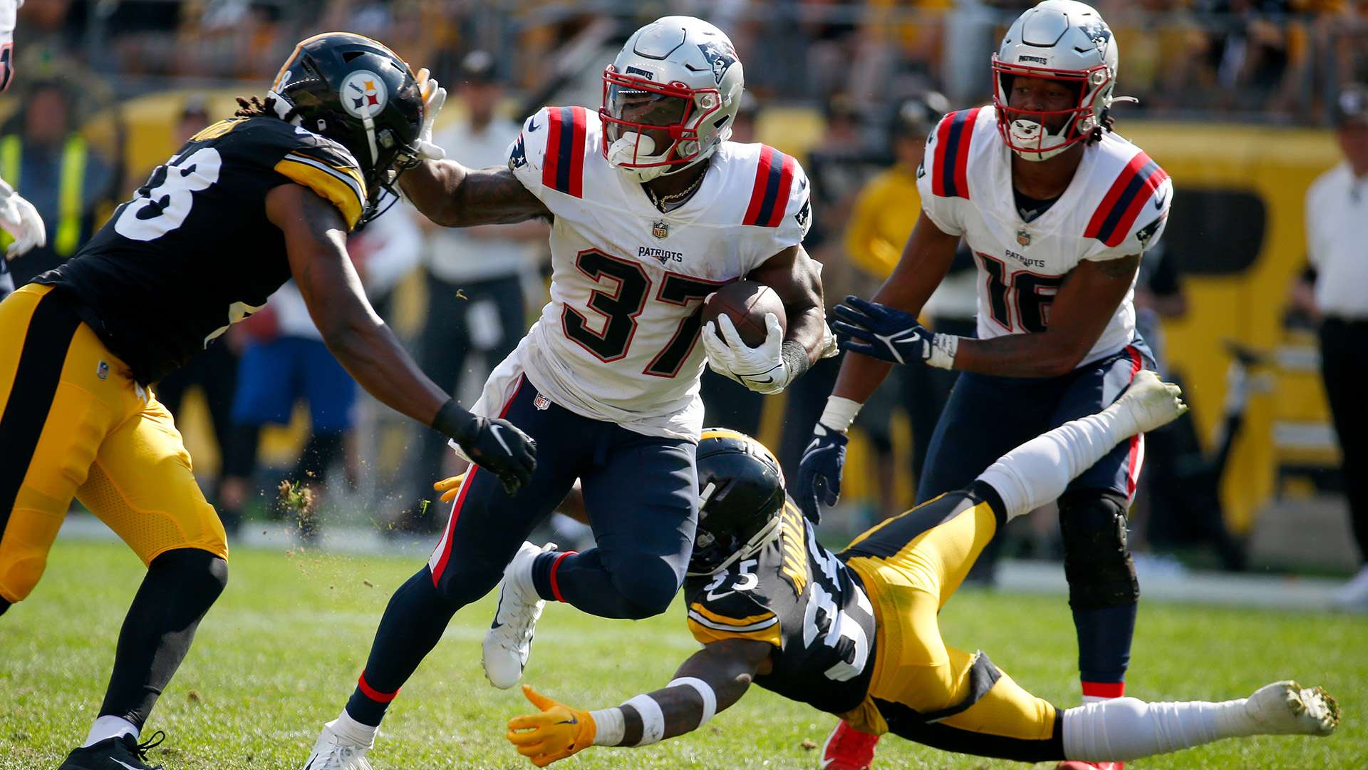 也有助于赛 也有助于赛