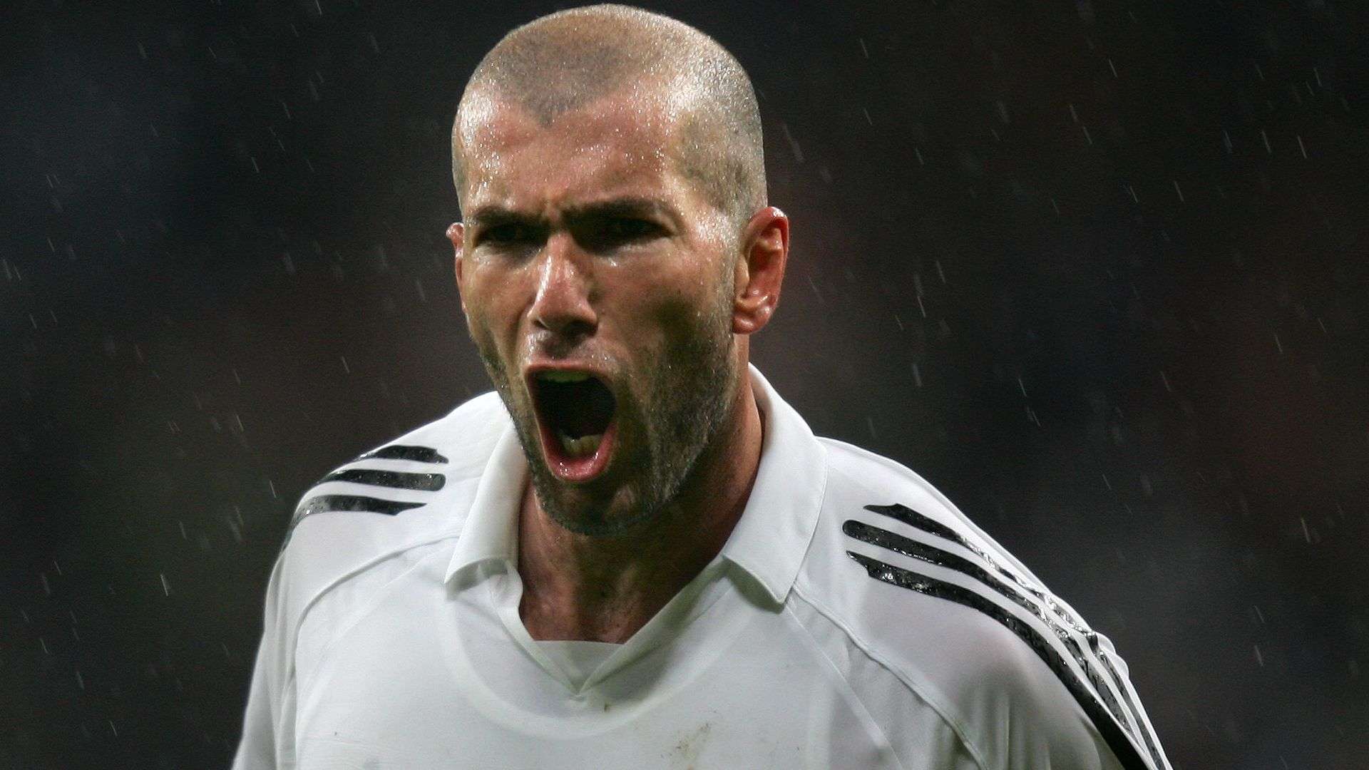 希望在闪亮 希望在闪亮