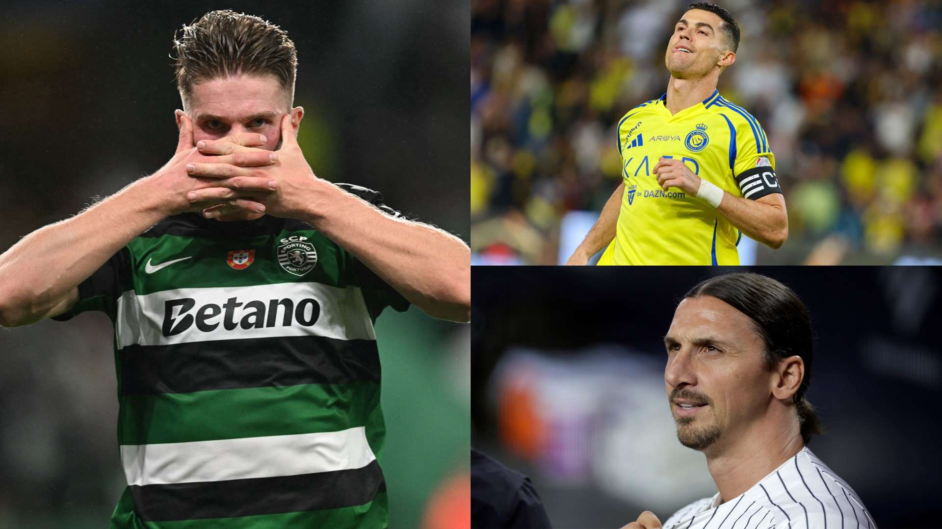 锋都充满了 锋都充满了