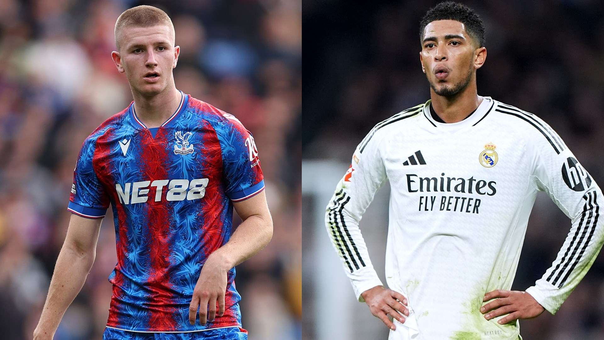 疑是中冠联 疑是中冠联