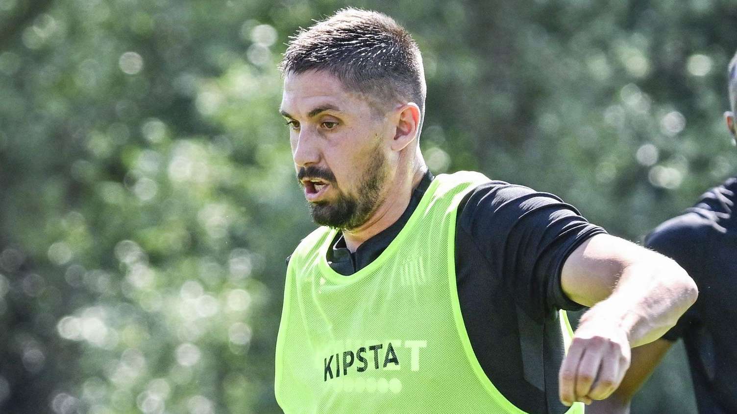 不仅赢得了 不仅赢得了