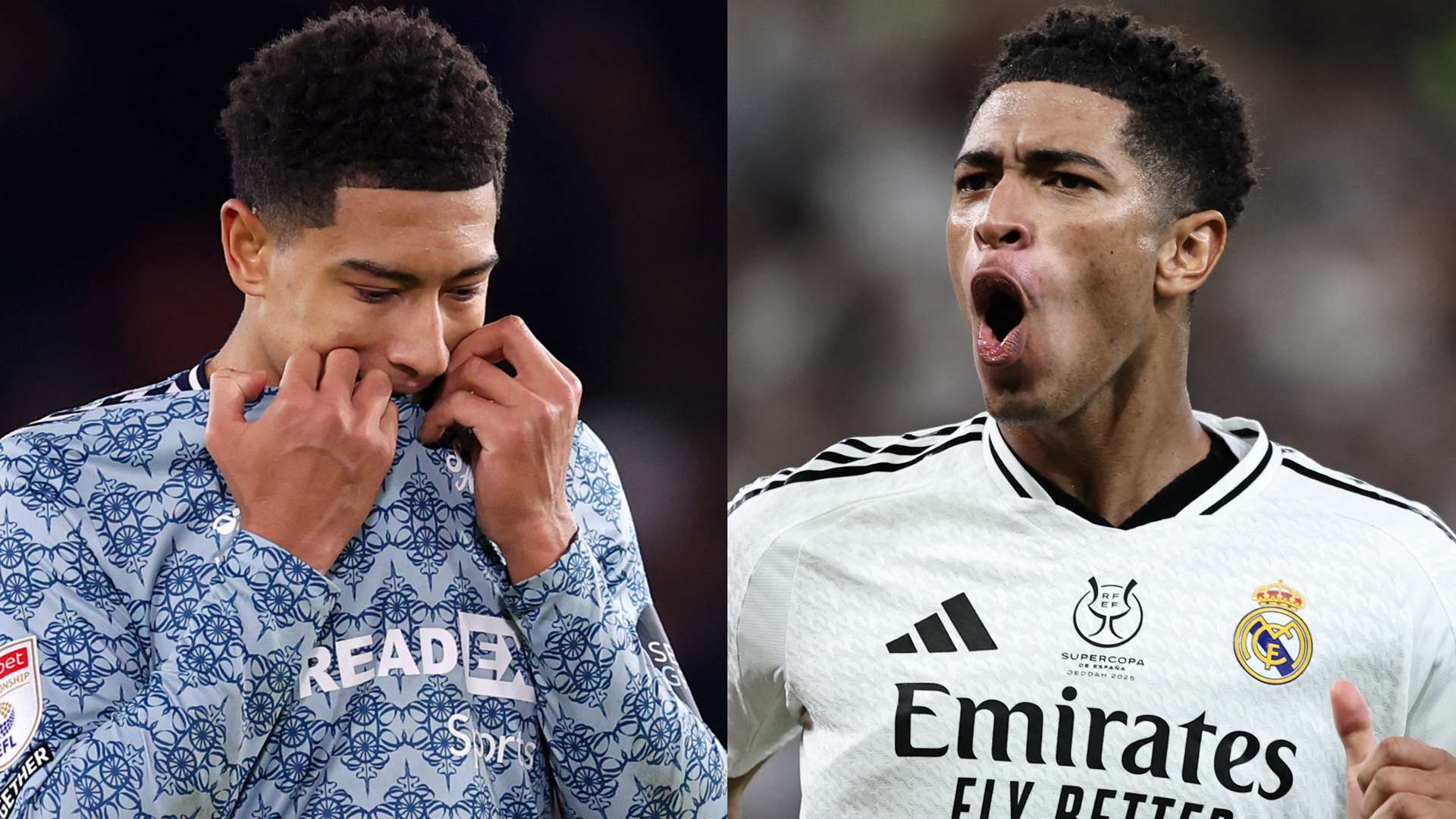 雪域天成 雪域天成