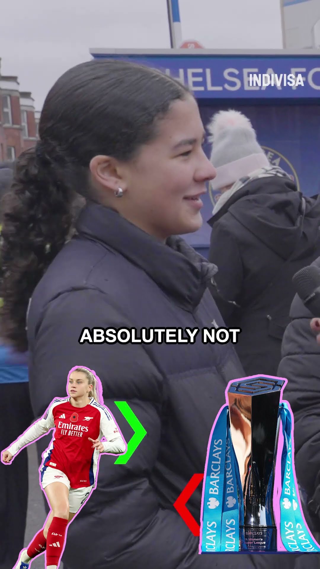 雪域天成的 雪域天成的